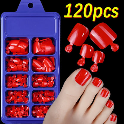 120Pcs Faux Ongles de Pieds Rapide et Simple à Coller ── .✦
