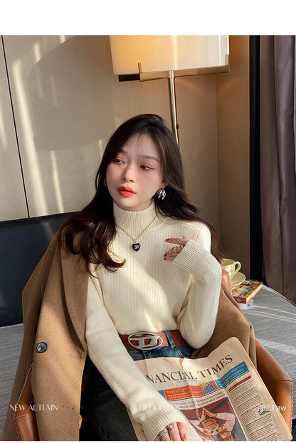 Pull Col Roulé Avec Légère Doublure Parfait Hiver ⟢